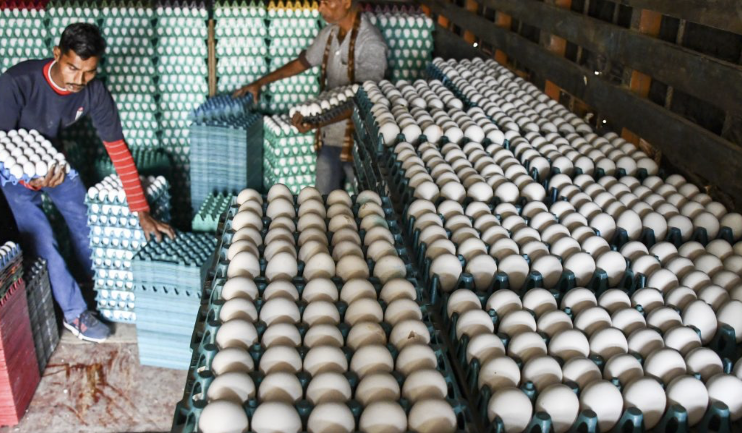 IMF Report: Another ‘One Size Fits All’ New Year Prescription for the Indian Economy